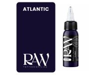Inchiostro per tatuaggi RAW Platinum, sterile, colore : Atlantic