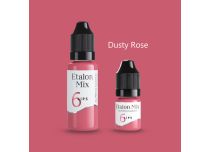 ETALON MIX Pigmento labbra sterile 5ml N°6 Dusty Rose