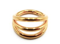 Anello di cerniera Titanio PVD Oro Triplo modello Sterile | Itc