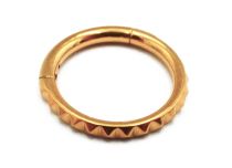 Anello di cerniera Titanio PVD Oro Punti modello sterili | Itc