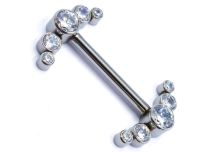 Barbell Titanium modello interno sterile 5 Strass Bow | Itc