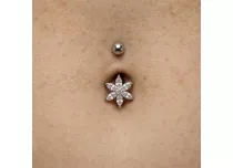 Fiore di banana in acciaio 6 petali multi strass | ITC