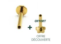 Labret Titanio PVD Oro Vassoio interno sterile 4 mm |  ITC