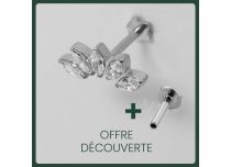 Labret Titane Interne Stérile motif Couronne de 5 Strass Blanc |  ITC