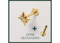 Labret Titanio PVD Oro Interno Design sterile Etoile de bergé strass BL |  ITC