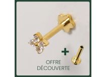 Labret Titane PVD Oro Interno Sterile design floreale 4 strass BL|  ITC
